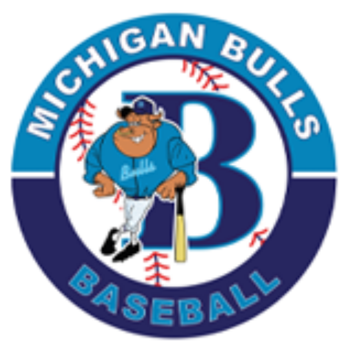 Michigan Bulls
